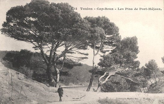 Toulon Le Mourillon et le Cap Brun (112).jpg