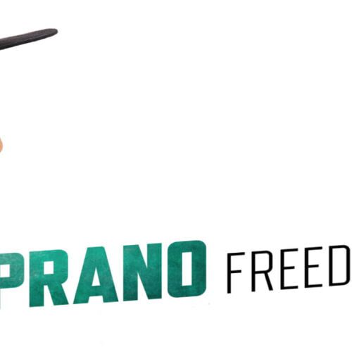 Soprano : Freedom Tour