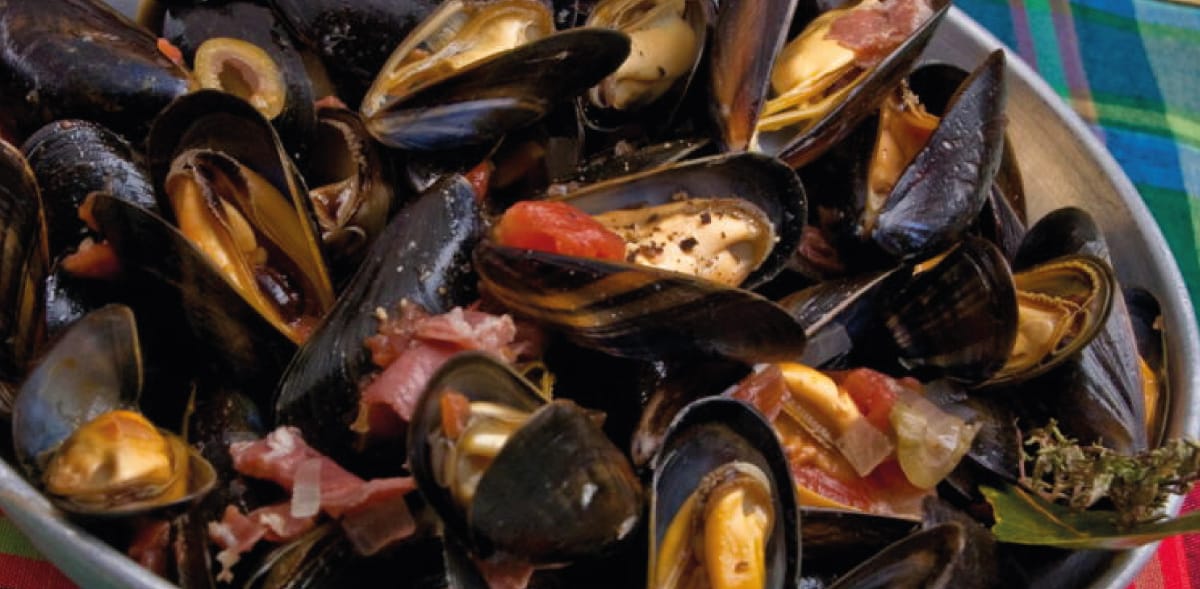 Moules à la Toulonnaise : Un Délice Provençal