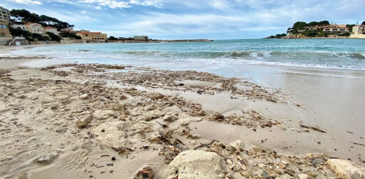 Mieux protéger nos plages : un enjeu clé pour l’économie du territoire