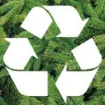 Recyclage des sapins de Noël à Toulon et dans la métropole toulonnaise