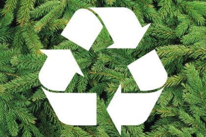 Recyclage des sapins de Noël à Toulon et dans la métropole toulonnaise